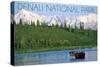 Denali National Park, Alaska - Moose and Water-Lantern Press-Stretched Canvas