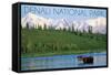 Denali National Park, Alaska - Moose and Water-Lantern Press-Framed Stretched Canvas