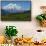 Denali National Park, Alaska - Mountain View-Lantern Press-Framed Stretched Canvas displayed on a wall