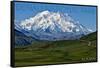 Denali National Park, Alaska - Mountain View-Lantern Press-Framed Stretched Canvas