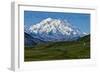 Denali National Park, Alaska - Mountain View-Lantern Press-Framed Art Print