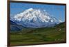 Denali National Park, Alaska - Mountain View-Lantern Press-Framed Art Print