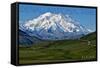 Denali National Park, Alaska - Mountain View-Lantern Press-Framed Stretched Canvas