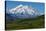 Denali National Park, Alaska - Mountain View-Lantern Press-Stretched Canvas