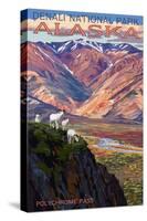 Denali National Park, Alaska - Polychrome Pass-Lantern Press-Stretched Canvas