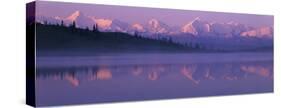 Denali National Park, Alaska, USA-null-Stretched Canvas