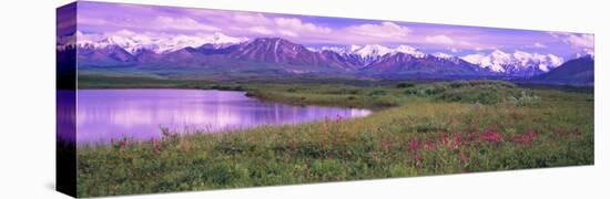 Denali National Park, Alaska, USA-null-Stretched Canvas
