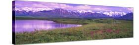 Denali National Park, Alaska, USA-null-Stretched Canvas