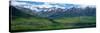 Denali National Park, Alaska, USA-null-Stretched Canvas