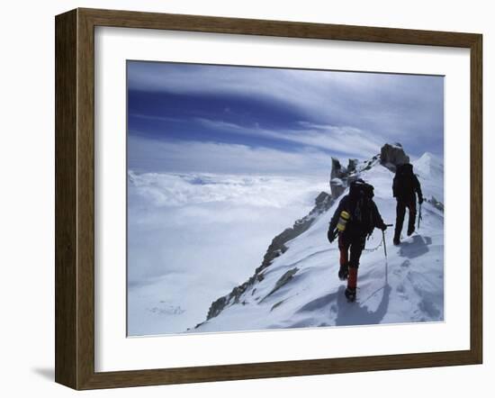 Denali National Park, Alaska, USA-null-Framed Premium Photographic Print