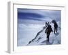 Denali National Park, Alaska, USA-null-Framed Premium Photographic Print