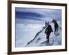 Denali National Park, Alaska, USA-null-Framed Photographic Print