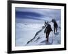 Denali National Park, Alaska, USA-null-Framed Photographic Print