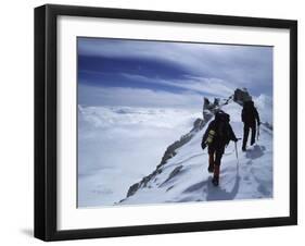 Denali National Park, Alaska, USA-null-Framed Photographic Print