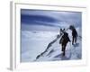 Denali National Park, Alaska, USA-null-Framed Photographic Print