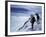 Denali National Park, Alaska, USA-null-Framed Photographic Print