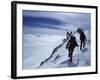 Denali National Park, Alaska, USA-null-Framed Photographic Print