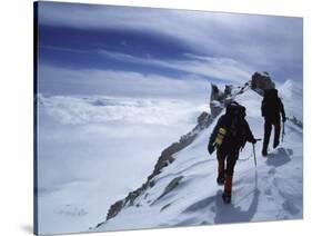 Denali National Park, Alaska, USA-null-Stretched Canvas