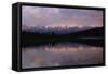 Denali National Park, Alaska-Art Wolfe-Framed Stretched Canvas