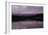 Denali National Park, Alaska-Art Wolfe-Framed Photographic Print