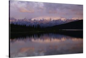 Denali National Park, Alaska-Art Wolfe-Stretched Canvas