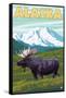 Denali National Park Moose and Mount McKinley-Lantern Press-Framed Stretched Canvas