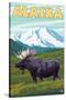 Denali National Park Moose and Mount McKinley-Lantern Press-Stretched Canvas