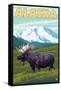 Denali National Park Moose and Mount McKinley-Lantern Press-Framed Stretched Canvas
