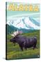 Denali National Park Moose and Mount McKinley-Lantern Press-Stretched Canvas