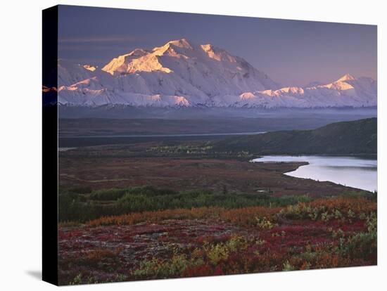 Denali National Park near Wonder Lake, Alaska, USA-Charles Sleicher-Stretched Canvas