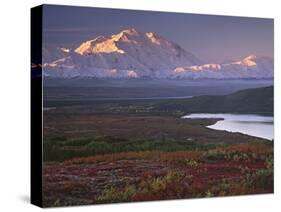 Denali National Park near Wonder Lake, Alaska, USA-Charles Sleicher-Stretched Canvas