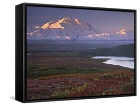 Denali National Park near Wonder Lake, Alaska, USA-Charles Sleicher-Framed Stretched Canvas