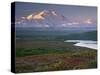 Denali National Park near Wonder lake, Alaska, USA-Charles Sleicher-Stretched Canvas