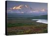 Denali National Park near Wonder lake, Alaska, USA-Charles Sleicher-Stretched Canvas