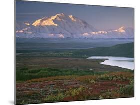 Denali National Park near Wonder lake, Alaska, USA-Charles Sleicher-Mounted Photographic Print