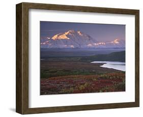 Denali National Park near Wonder Lake, Alaska, USA-Charles Sleicher-Framed Photographic Print