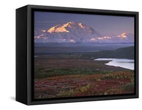 Denali National Park near Wonder Lake, Alaska, USA-Charles Sleicher-Framed Stretched Canvas