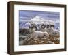 Denali Rams-Jeff Tift-Framed Giclee Print