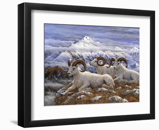 Denali Rams-Jeff Tift-Framed Giclee Print