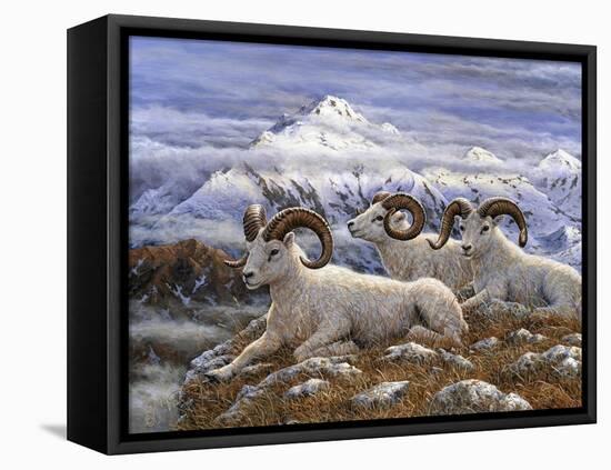 Denali Rams-Jeff Tift-Framed Stretched Canvas