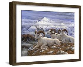 Denali Rams-Jeff Tift-Framed Giclee Print