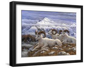 Denali Rams-Jeff Tift-Framed Giclee Print