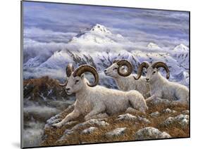 Denali Rams-Jeff Tift-Mounted Giclee Print