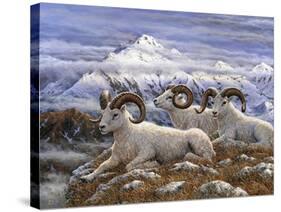 Denali Rams-Jeff Tift-Stretched Canvas