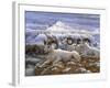 Denali Rams-Jeff Tift-Framed Giclee Print