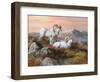 Denali Trio-Trevor V. Swanson-Framed Premium Giclee Print