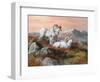 Denali Trio-Trevor V. Swanson-Framed Premium Giclee Print