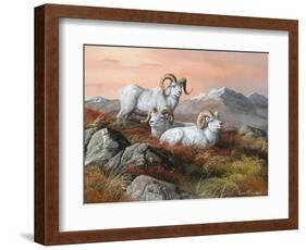 Denali Trio-Trevor V. Swanson-Framed Giclee Print