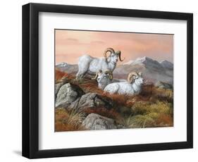 Denali Trio-Trevor V. Swanson-Framed Giclee Print