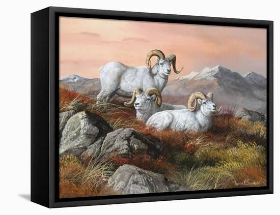 Denali Trio-Trevor V. Swanson-Framed Stretched Canvas